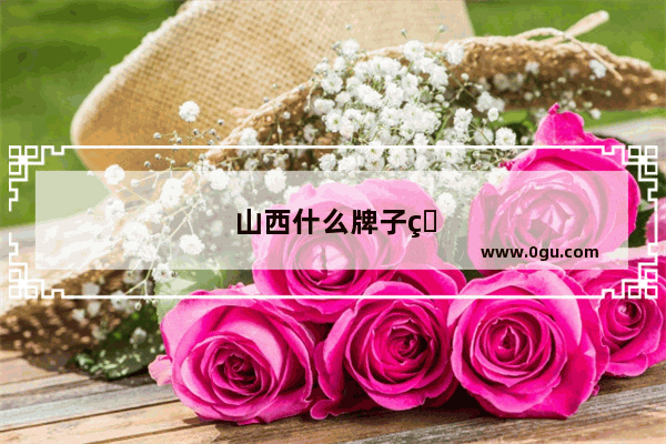 山西什么牌子的白酒好喝