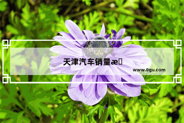 天津汽车销量暴涨原因