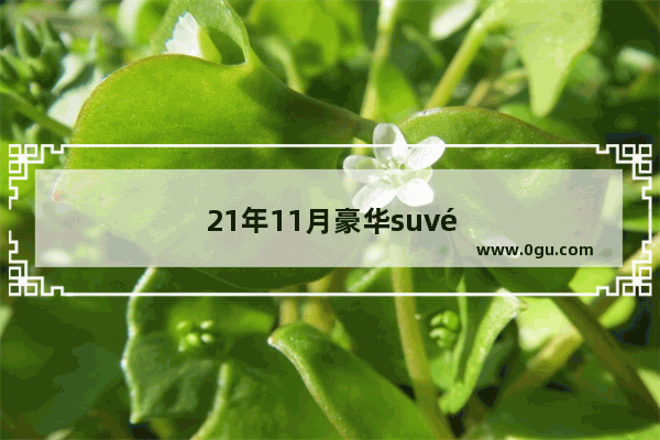 21年11月豪华suv销量排行