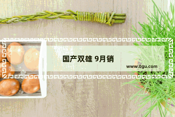 国产双雄 9月销量长城紧追吉利 今年后几个月 长城单月销量有可能反超吗