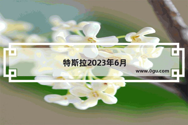 特斯拉2023年6月国内销量