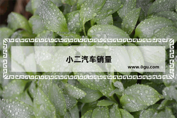 小二汽车销量