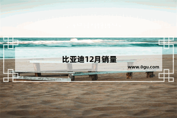 比亚迪12月销量公布了吗