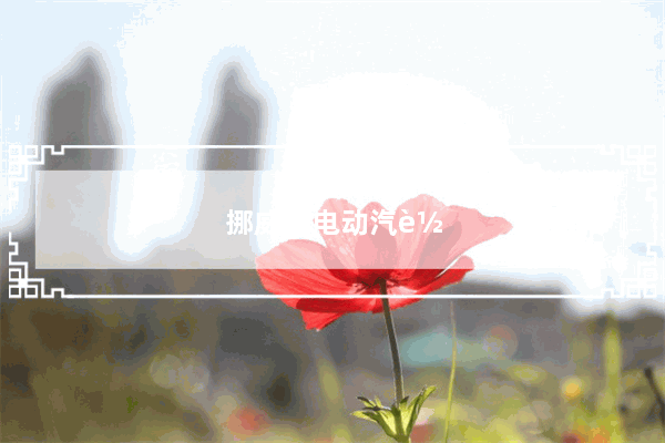 挪威纯电动汽车销量排名榜