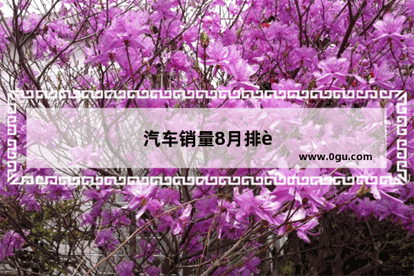 汽车销量8月排行