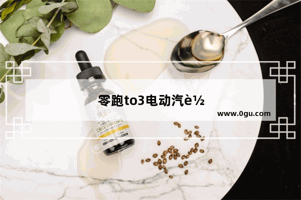 零跑to3电动汽车销量