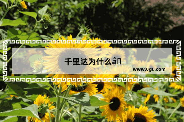 千里达为什么国内买不到
