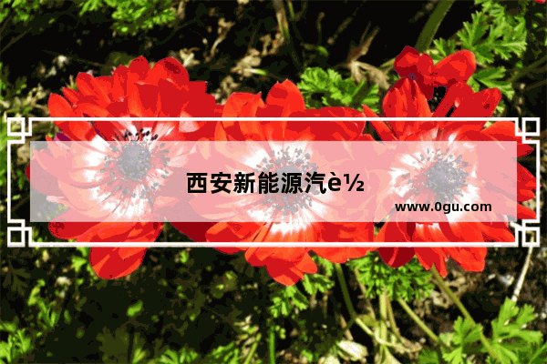 西安新能源汽车销售