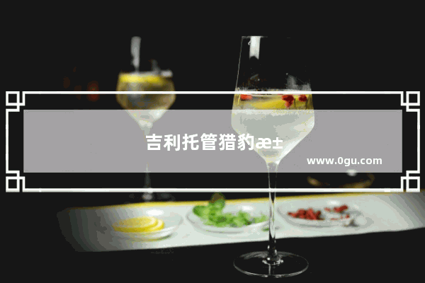 吉利托管猎豹汽车 生产吉利车型 为何工厂LOGO还挂猎豹的