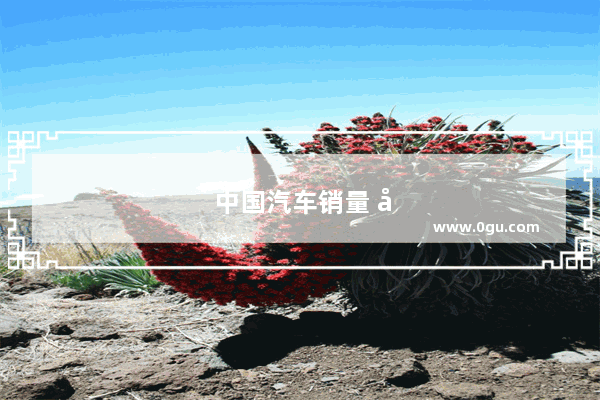 中国汽车销量 单价排行榜