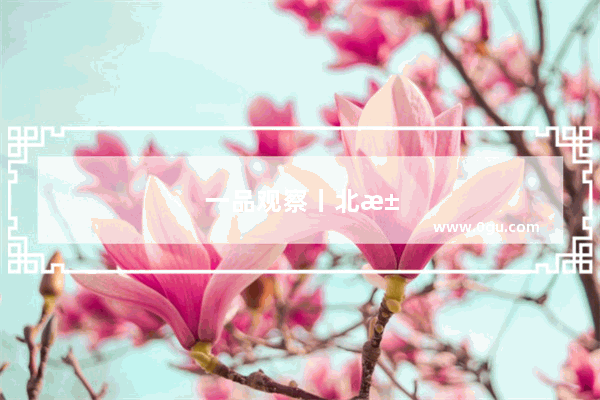 一品观察丨北汽蓝谷育“三胎” 考拉能否如欧拉