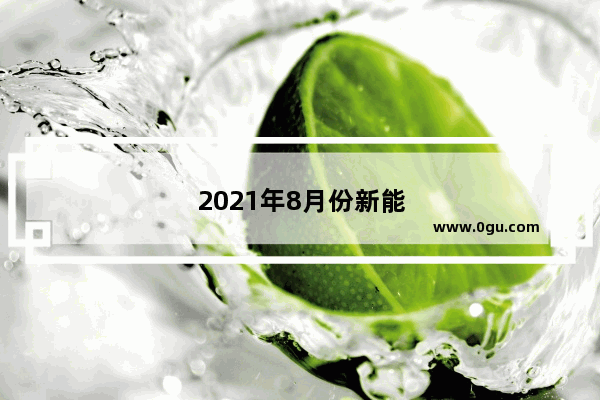 2021年8月份新能源销量排行榜完整
