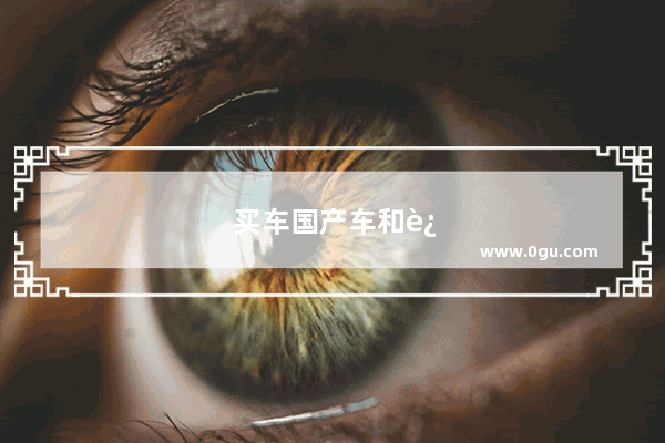 买车国产车和进口车税一样吗