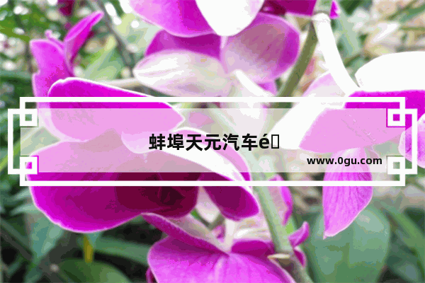 蚌埠天元汽车销量怎么样啊