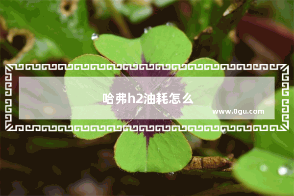 哈弗h2油耗怎么样？比哈弗h6省油么