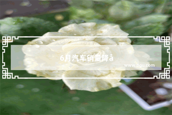 6月汽车销量降幅收窄 车市回暖了吗