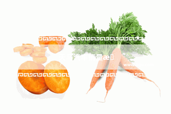 天马汽车销量排名第一多少