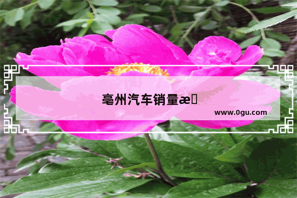 亳州汽车销量排名前十位是什么