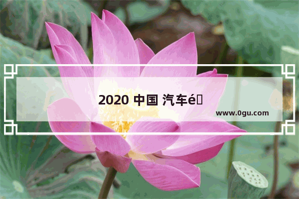 2020 中国 汽车销量