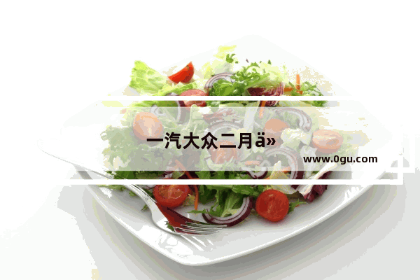 一汽大众二月份汽车销量