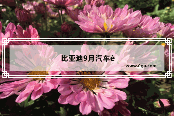 比亚迪9月汽车销量排行榜2023