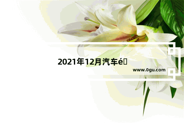 2021年12月汽车销量排行榜