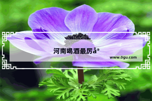河南喝酒最厉害的城市是哪里
