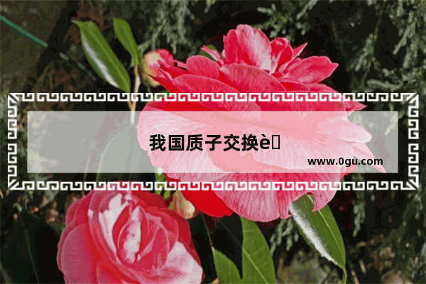 我国质子交换膜三大上市公司