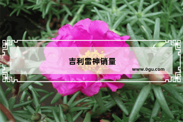 吉利雷神销量