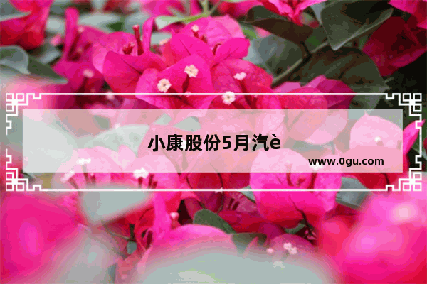小康股份5月汽车销量如何了