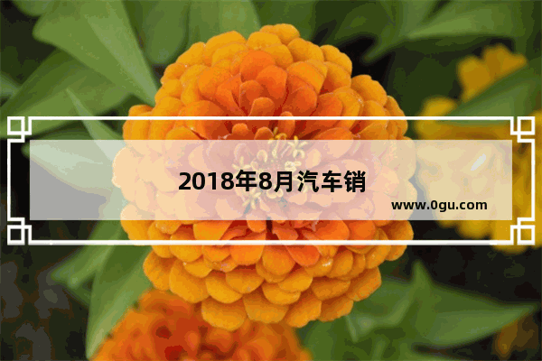 2018年8月汽车销量