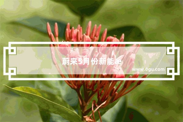 蔚来5月份新能源汽车销量如何