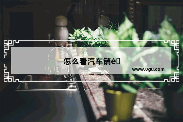 怎么看汽车销量