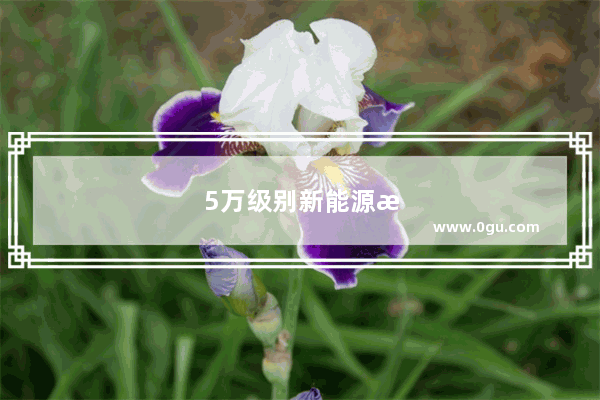 5万级别新能源汽车销量怎么样