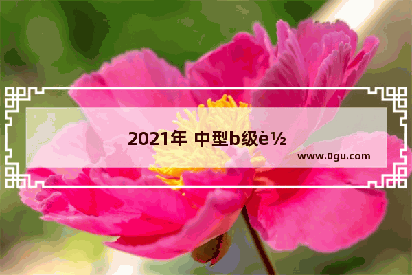 2021年 中型b级轿车销量排名前十