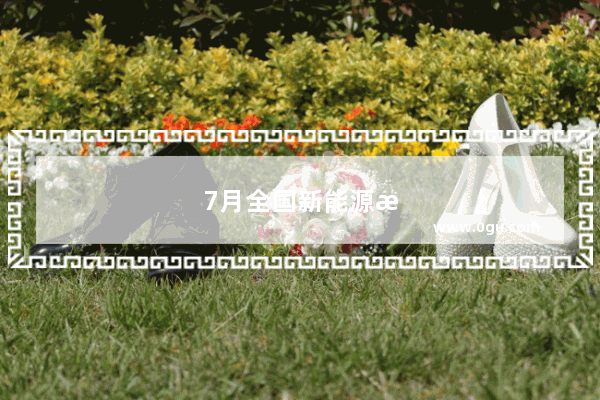 7月全国新能源汽车销量