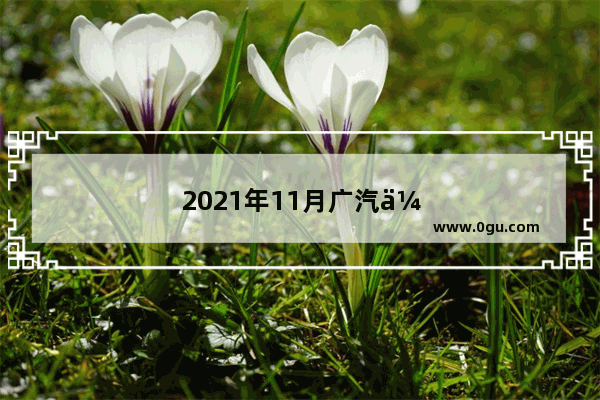 2021年11月广汽传祺影豹销量销量