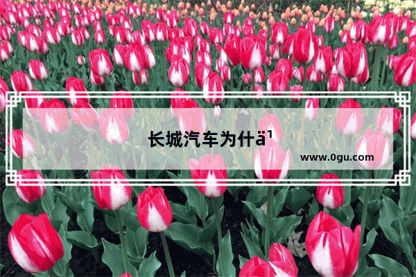 长城汽车为什么还不发布21年销量