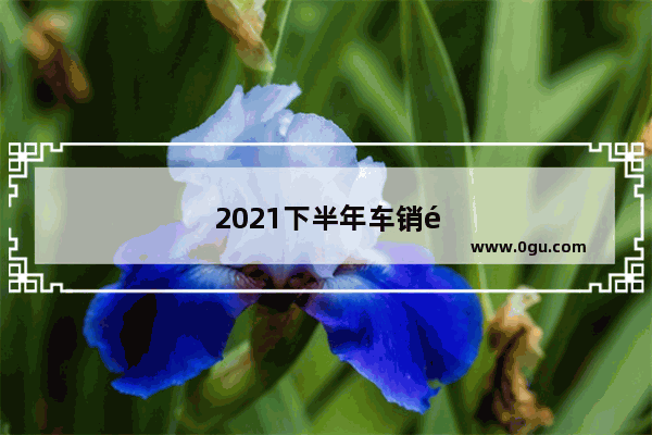 2021下半年车销量排行