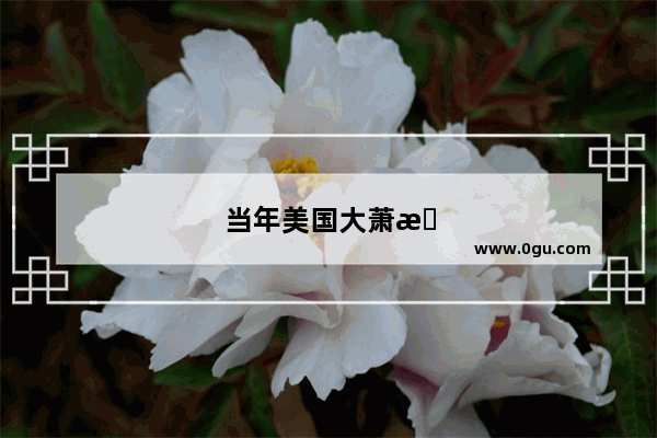当年美国大萧条时 有哪些行业是逆势而上的或至少是可以维持的