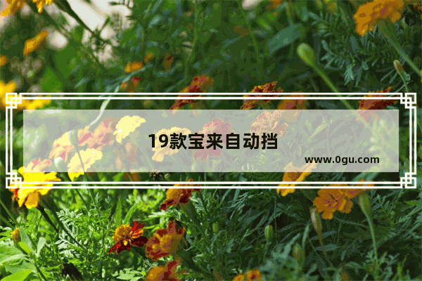 19款宝来自动挡最低多少钱？性能怎么样