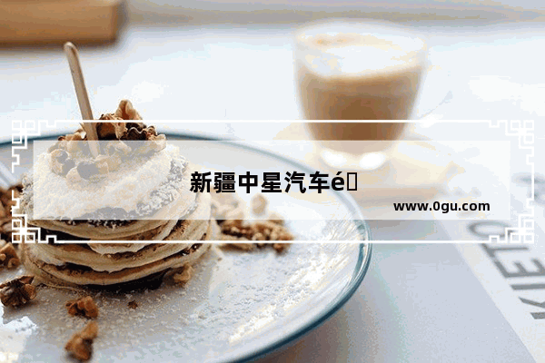 新疆中星汽车销量怎么样
