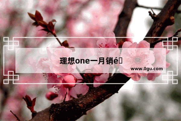 理想one一月销量