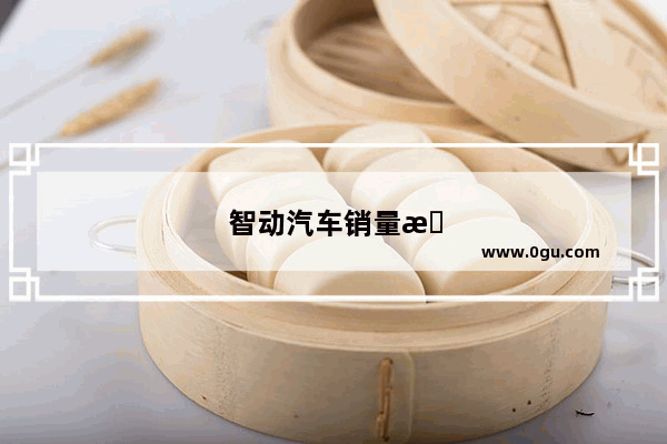 智动汽车销量排行榜
