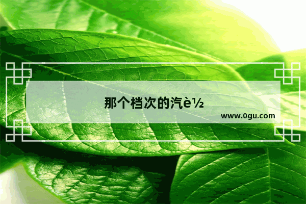 那个档次的汽车销量高