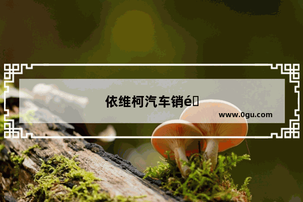 依维柯汽车销量排量多少