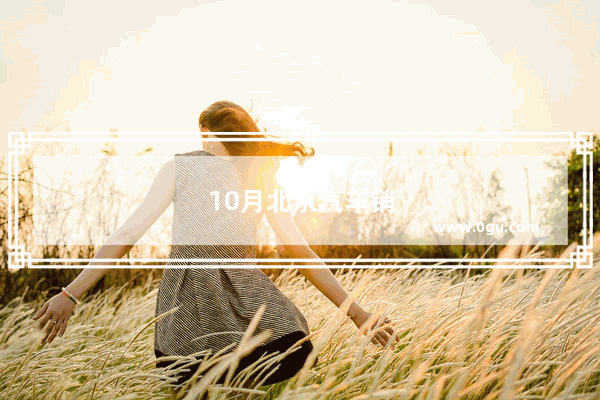 10月北京汽车销量排行榜