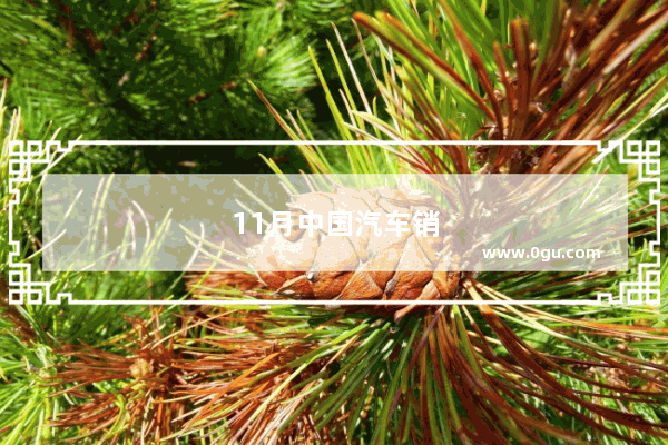 11月中国汽车销量榜