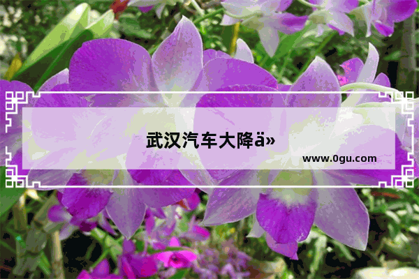 武汉汽车大降价是真的吗