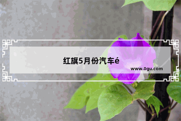红旗5月份汽车销量如何了
